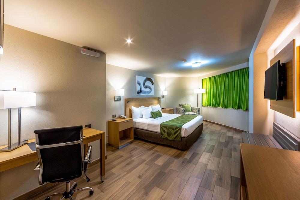 La Joya Pachuca Hotell Eksteriør bilde A typical hotel room